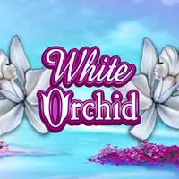 machine à sous white orchid